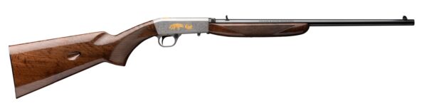 SEMI-AUTO GR-VI 22LR GRAYED, 021003102