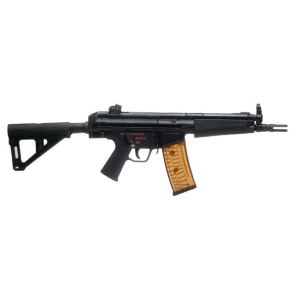 AP53 5.56 30rd Magazine (2) w/ Magpul BSL Brace - Precision Shot Firearms