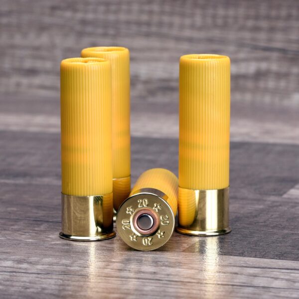 Huntego CleanShot 4/ct - 20ga - Precision Shot Firearms