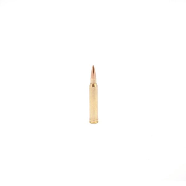 300 Winchester Magnum 185gr Classic Hunter Match Grade Ammunition 20 RNDS - Precision Shot Firearms