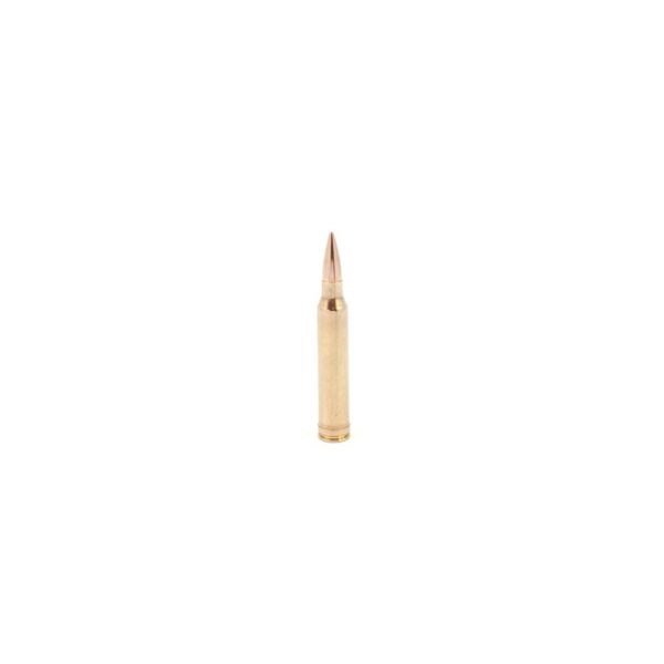 300 Winchester Magnum 168gr Classic Hunter Match Grade Ammunition 20 RNDS - Precision Shot Firearms