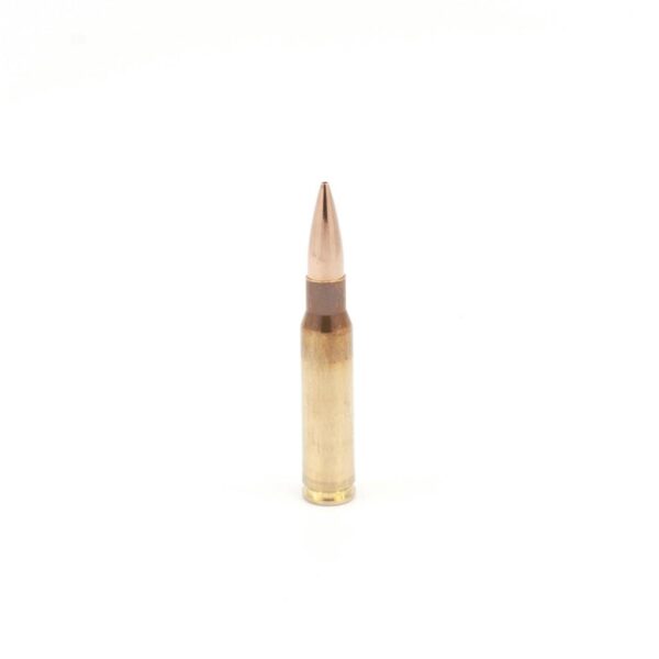 308 Winchester 185gr Classic Hunter Match Grade Ammunition 20 RNDS - Precision Shot Firearms
