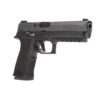 Sig Sauer P320 XTEN Handgun 10mm Auto15rd Magazines(2) 5" Barrel Nitron Finish - Precision Shot Firearms