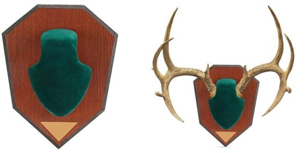 Allen Antler Mounting Kit - Green Skull - Precision Shot Firearms