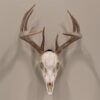 Allen EZ Mount Skull Peg Hook Black - Precision Shot Firearms