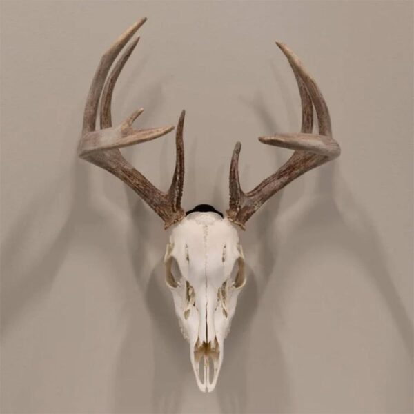 Allen EZ Mount Skull Peg Hook Black - Precision Shot Firearms