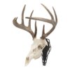 Allen EZ Mount Silhouette Skull Peg Black - Precision Shot Firearms