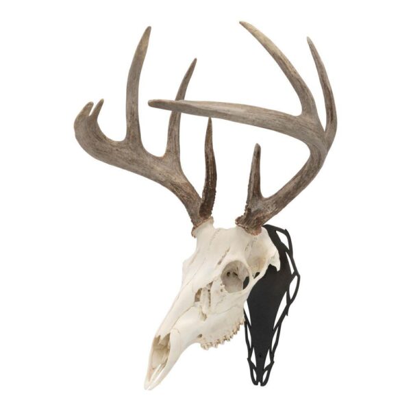 Allen EZ Mount Silhouette Skull Peg Black - Precision Shot Firearms