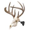 Allen EZ Mount Trophy Skull Hanger Black - Precision Shot Firearms