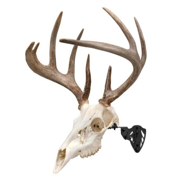 Allen EZ Mount Trophy Skull Hanger Black - Precision Shot Firearms