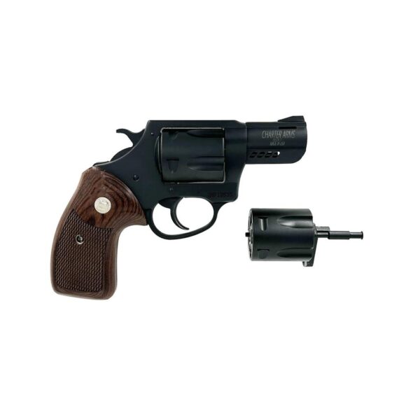 Charter Arms Double Dog Mag Pug & Pitbull Handgun 9mm Luger /.357 Mag 5rd Capacity 2.2'' Barrel - Precision Shot Firearms