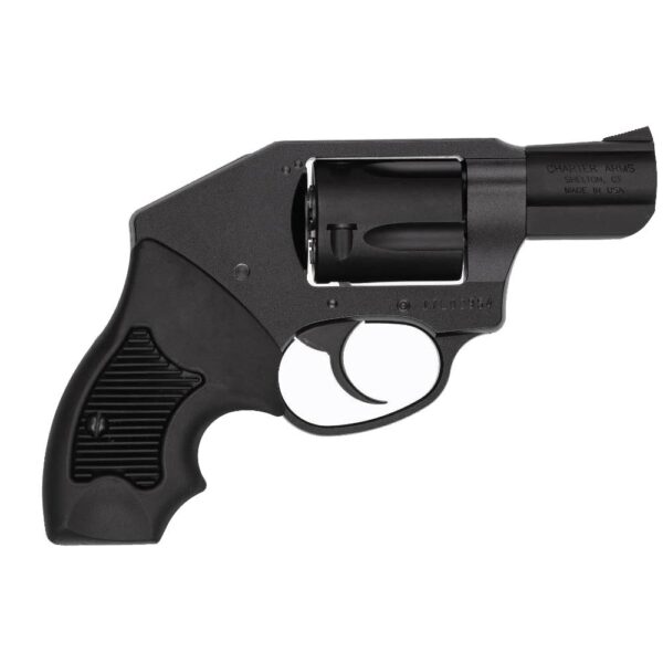Charter Arms Undercoverette Off Duty Handgun .32 H&R Mag 6rd Capacity 2" Barrel Concealed Hammer Black - Precision Shot Firearms