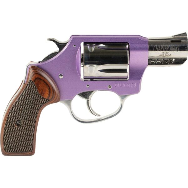 Charter Arms Coyote Lavender & SS .380 ACP 5 Shot 2'' - Precision Shot Firearms
