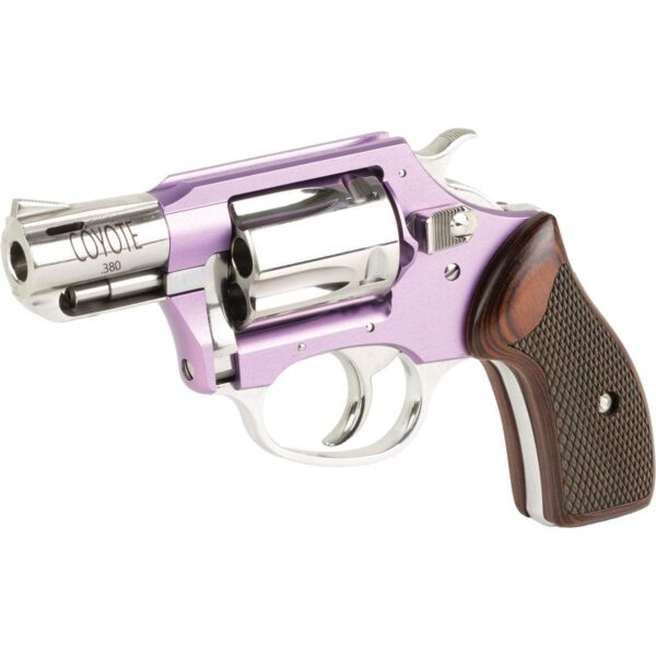 Charter Arms Coyote Lavender & SS .380 ACP 5 Shot 2'' - Precision Shot Firearms