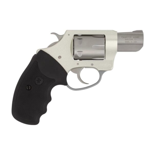 Charter Arms Pathfinder .22 LR 6rd Capacity 2" Barrel Stainless Full Grip REFURBISHED - Precision Shot Firearms