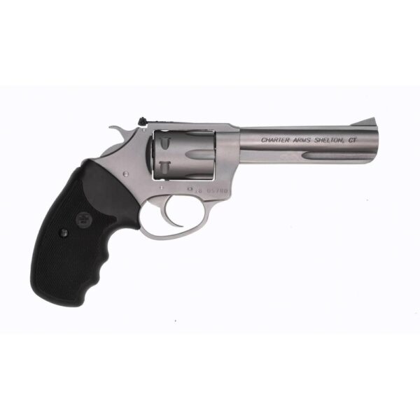 Charter Arms Target Pathfinder .22 LR 6rd Capacity 4.2" Barrel Stainless - Precision Shot Firearms