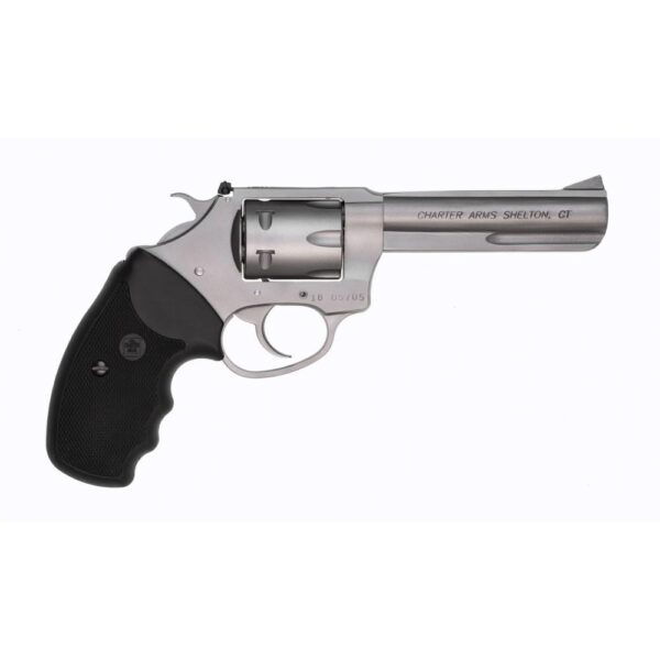 Charter Arms Pathfinder Lite Handgun .22 WMR 6rd Capacity 4.2" Barrel Stainless - Precision Shot Firearms