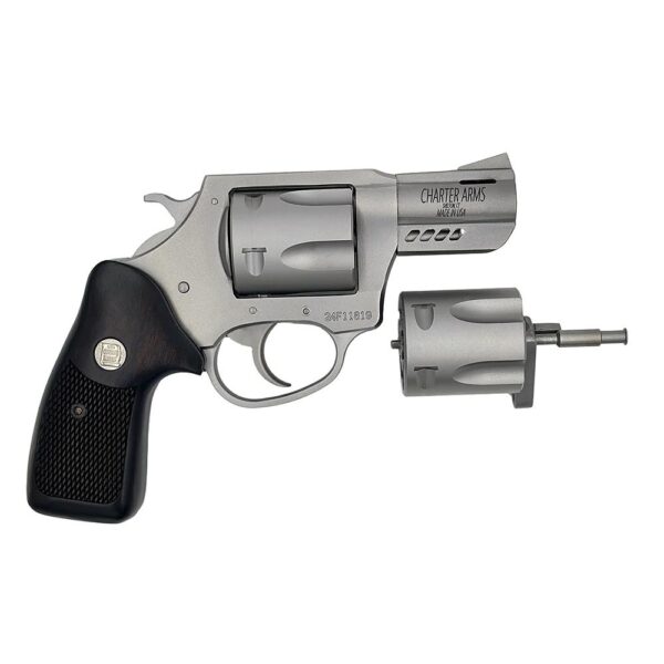 Charter Arms Mag Pug/Pit Bull Handgun .357 Mag/9mm Luger 5rd Capacity 2.2" Barrel Stainless Black - Precision Shot Firearms