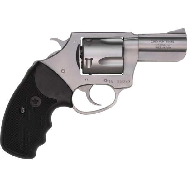 Charter Arms Bulldog Handgun 44 Spl 5/rd Capacity 2.5" Barrel Silver with Black Grip - Precision Shot Firearms