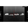 ATN ThOR LTV 3-9x 320x240 12 micron Ultra Lite Thermal Rifle Scope w/ Video Recording - Precision Shot Firearms