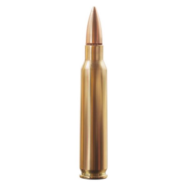 Aguila 5.56mm NATO Rifle Ammunition 5.56mm 55 Grain FMJ 3164 fps 2250/ct Case (75-30/ct Boxes) - Precision Shot Firearms