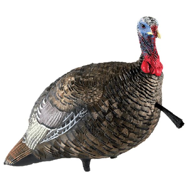 Avian-X LCD Quarter-Strut Jake Turkey Decoy - Precision Shot Firearms