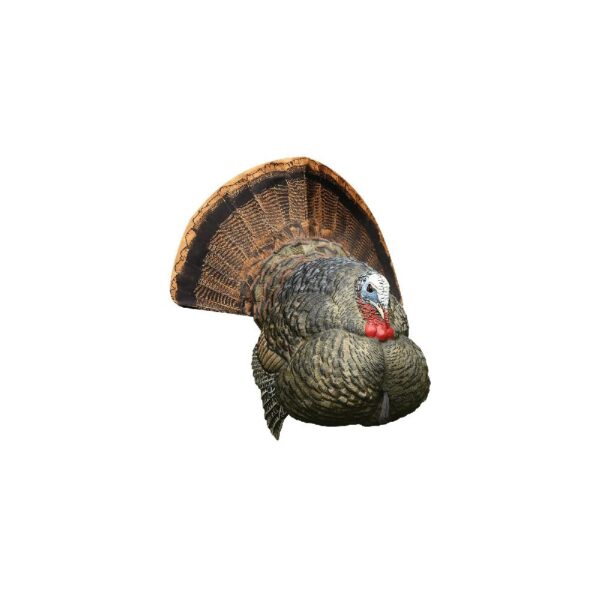 Avian-X LCD Strutter Turkey Decoy - Precision Shot Firearms