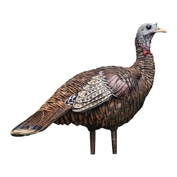 Avian-X LCD Lookout Hen Turkey Decoy - Precision Shot Firearms