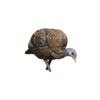 Avian-X LCD - Feeder Hen Turkey Decoy - Precision Shot Firearms