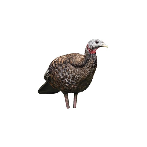 Avian-X LCD - Breeder Hen Turkey Decoy - Precision Shot Firearms
