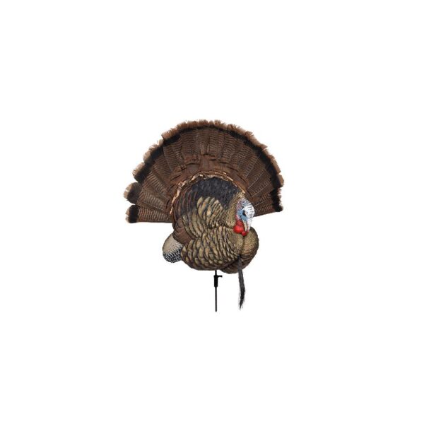 Avian-X Trophy Tom Turkey Decoy - Precision Shot Firearms