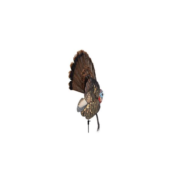 Avian-X Trophy Tom Turkey Decoy - Precision Shot Firearms