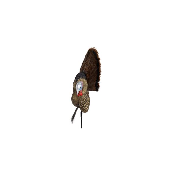 Avian-X Trophy Tom Turkey Decoy - Precision Shot Firearms