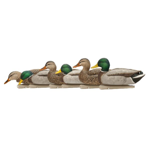 Avian-X Top Flight Fusion Pack - Mallard 6/ct - Precision Shot Firearms