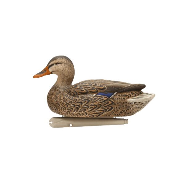 Avian-X Top Flight Fusion Pack - Mallard 6/ct - Precision Shot Firearms