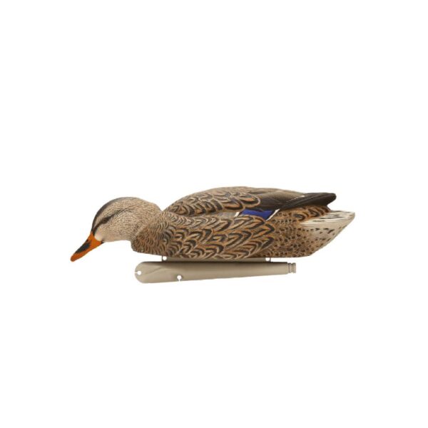 Avian-X Top Flight Fusion Pack - Mallard 6/ct - Precision Shot Firearms