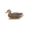Avian-X Top Flight Fusion Pack - Mallard 6/ct - Precision Shot Firearms