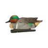 Avian-X Top Flight Green Wing Teal Decoys 6/ct - Precision Shot Firearms