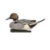 Avian-X Topflight Pintails Duck Decoys 6/ct - Precision Shot Firearms