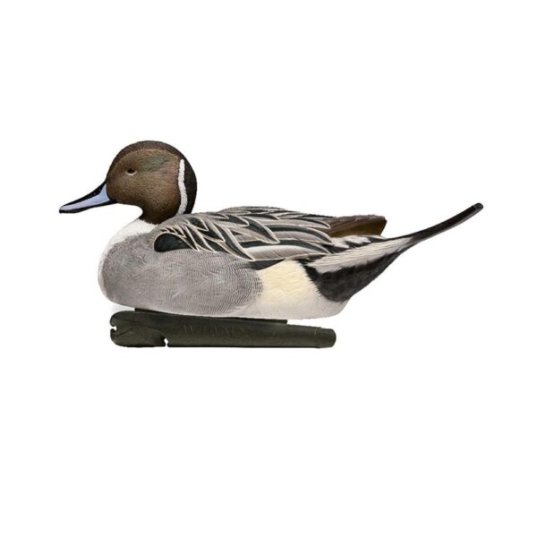 Avian-X Topflight Pintails Duck Decoys 6/ct - Precision Shot Firearms