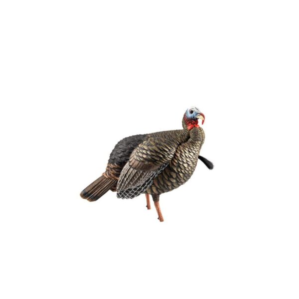 Avian-X HDR Jake Decoy - Precision Shot Firearms