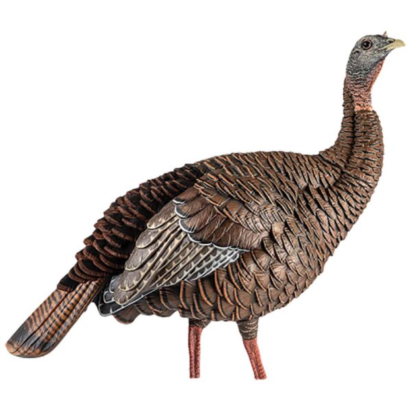 Avian-X HDR Hen Turkey Decoy - Precision Shot Firearms