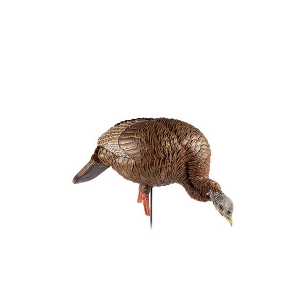 Avian-X HDR Feeding Hen - Precision Shot Firearms