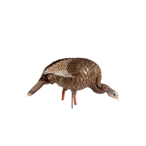 Avian-X HDR Feeding Hen - Precision Shot Firearms