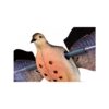Avian-X Powerflight Robo Spinning Wing Dove Decoy - Precision Shot Firearms