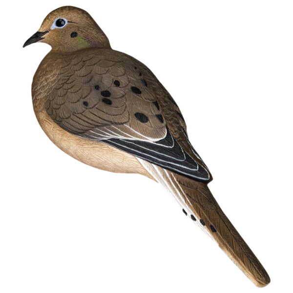 Avian APX Full Body Dove Decoys 6/ct - Precision Shot Firearms