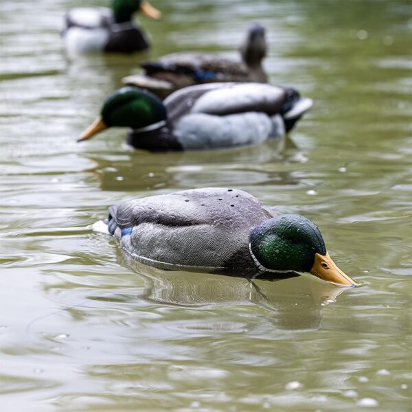 Avian-X Tip Up Mallard Feeder - Precision Shot Firearms