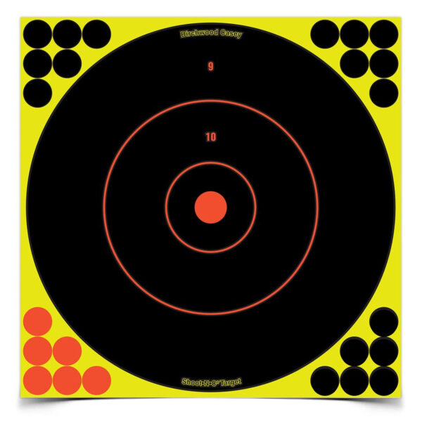 Birchwood Casey Shoot-N-C Bull's Eye Targets 12" 500/ct - Precision Shot Firearms