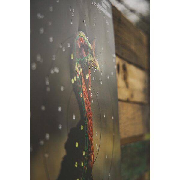Birchwood Casey Pregame Turkey Paper Targets 12"x18" 8/ct - Precision Shot Firearms