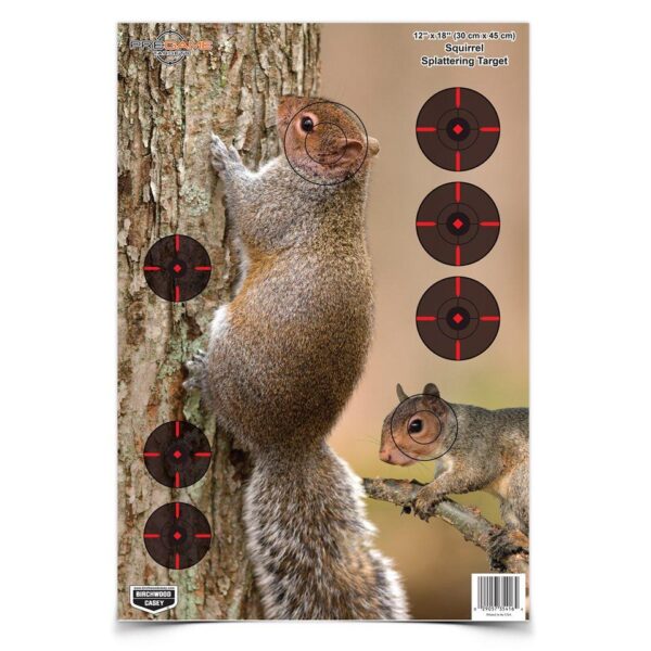 Birchwood Casey Pregame Target - 12"x18" Squirrel 8 Pack - Precision Shot Firearms